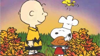 Image result for charlie brown thanksgiving